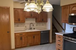 10831 Mississippi Ct, Orland Park, IL 60467 - Photo 10