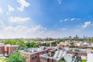 833 W 15th Pl, Chicago, IL 60608 - Photo 26