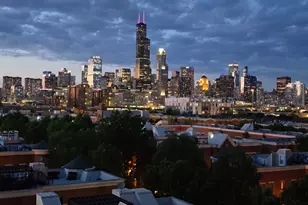 833 W 15th Pl, Chicago, IL 60608 - Photo 44