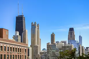 1320 N State Pkwy, Chicago, IL 60610 - Photo 10