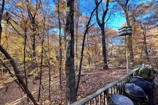 26712 S Jacobs Ln, Crete, IL 60417 - Photo 10