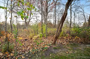 92 Whittington Course, Saint Charles, IL 60174 - Photo 4