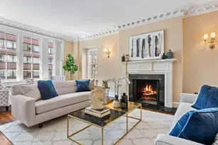 220 E Walton Pl, Chicago, IL 60611 - Photo 4