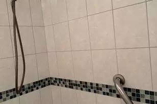 [Address not provided], Chicago, IL 60649 - Photo 16