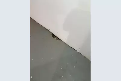 5919 S Rockwell Street, Chicago, IL 60629 - Photo 36