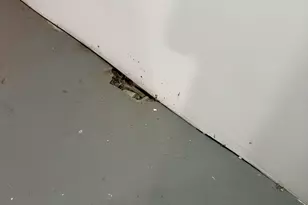 5919 S Rockwell St, Chicago, IL 60629 - Photo 36