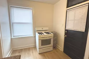 4428 N Laporte Ave, Chicago, IL 60630 - Photo 20