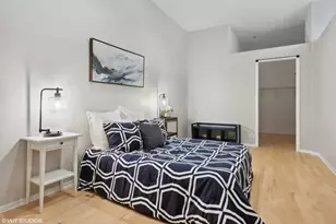 910 S Michigan Ave, Chicago, IL 60605 - Photo 10