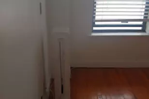 307 E 50th St, Chicago, IL 60615 - Photo 6