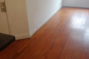 307 E 50th St, Chicago, IL 60615 - Photo 4