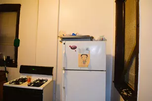 4252 W Gladys Ave, Chicago, IL 60624 - Photo 14