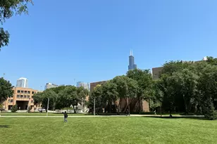 1033 W Taylor St, Chicago, IL 60607 - Photo 22