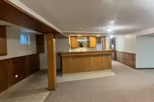 20415 Doria Ln, Olympia Fields, IL 60461 - Photo 52