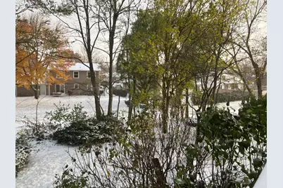 4080 Fir Court, Hoffman Estates, IL 60192 - Photo 24