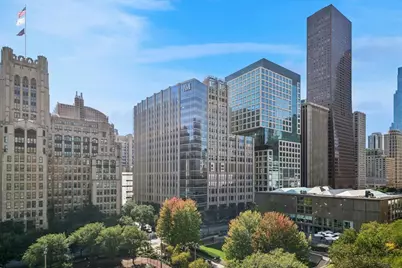 250 E Pearson Street #901, Chicago, IL 60611 - Photo 22