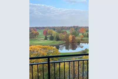 6420 Double Eagle Drive #801, Woodridge, IL 60517 - Photo 18