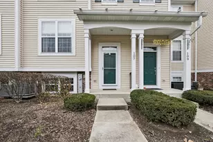 107 Terra Springs Dr, Volo, IL 60020 - Photo 1