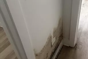 430 E 46th St, Chicago, IL 60653 - Photo 22