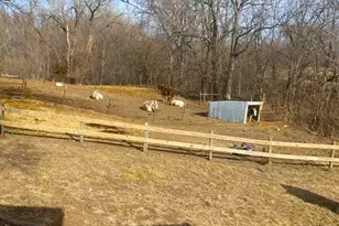 21882 410 E St, Sheffield, IL 61361 - Photo 42