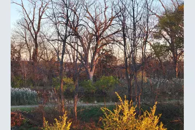 21882 410 East Street, Sheffield, IL 61361 - Photo 48