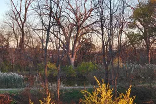 21882 410 E St, Sheffield, IL 61361 - Photo 48