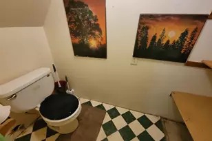 21882 410 E St, Sheffield, IL 61361 - Photo 32