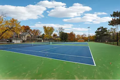 1115 Colfax Street, Evanston, IL 60201 - Photo 54