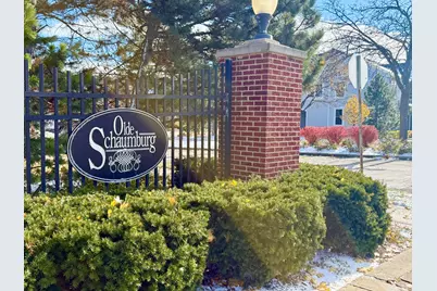 153 Fulbright Lane, Schaumburg, IL 60194 - Photo 2