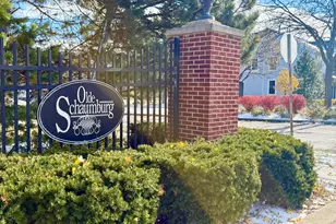 153 Fulbright Ln, Schaumburg, IL 60194 - Photo 2