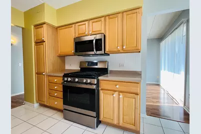 11 S Wille Street #401, Mount Prospect, IL 60056 - Photo 10