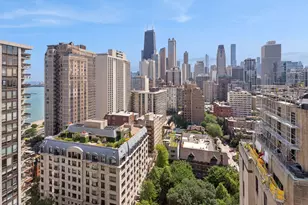 1310 N Ritchie Ct, Chicago, IL 60610 - Photo 22