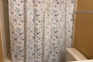 2605 S Indiana Ave, Chicago, IL 60616 - Photo 14