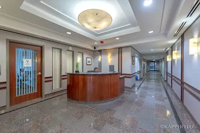 2605 S Indiana Avenue #708, Chicago, IL 60616 - Photo 30