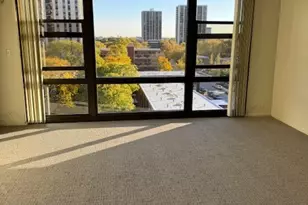 2605 S Indiana Ave, Chicago, IL 60616 - Photo 6