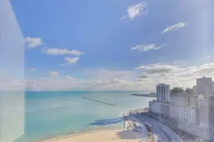 1110 N Lake Shore Dr, Chicago, IL 60611 - Photo 12