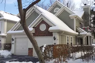 909 Little Falls Ct, Elk Grove Village, IL 60007 - Photo 1