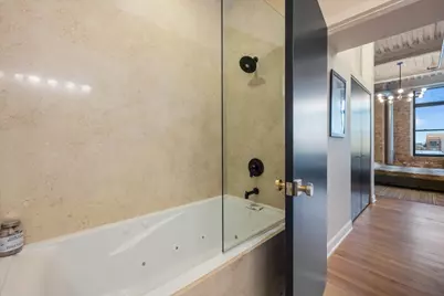 2545 S Dearborn Street #509, Chicago, IL 60616 - Photo 20