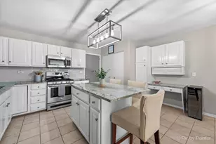 519 Shagbark Dr, Elgin, IL 60123 - Photo 16