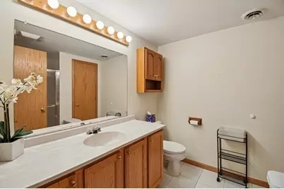 14355 Spring Meadow Court, Libertyville, IL 60048 - Photo 50