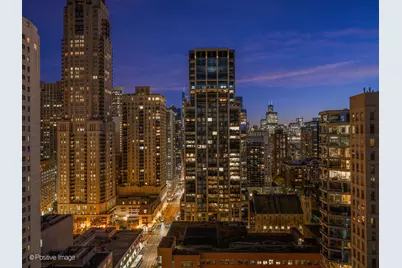 1030 N State Street #21J, Chicago, IL 60610 - Photo 18