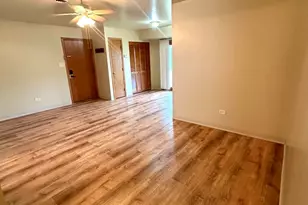 465 N School St, Diamond, IL 60416 - Photo 4