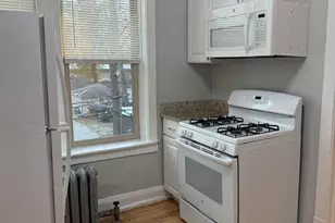 217 A Washington Blvd, Oak Park, IL 60302 - Photo 6