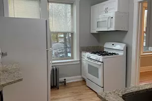 217 A Washington Blvd, Oak Park, IL 60302 - Photo 8