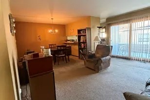 20125 Woodale St, Lynwood, IL 60411 - Photo 6
