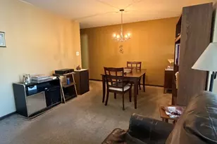 20125 Woodale St, Lynwood, IL 60411 - Photo 12