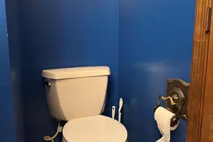 21 Colonial Dr, Clifton, IL 61727 - Photo 40