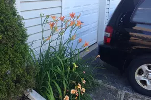 157 Peter Ct, Bartlett, IL 60103 - Photo 16