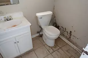 365 Waverly St, Park Forest, IL 60466 - Photo 10