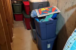 142 Sedgewicke Dr, Romeoville, IL 60446 - Photo 14