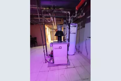 9732 S Houston Avenue, Chicago, IL 60617 - Photo 22